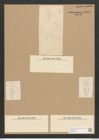 Diatomeae indet. Zeichnungen Sammlung Grunow Nr. 2472 (NHMW-BOT-W0369648)